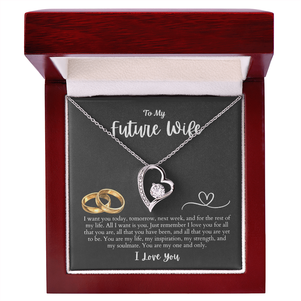 To My Future Wife All I want is You | Forever Love Necklace
