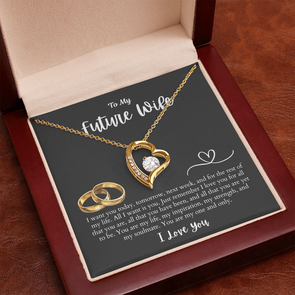 To My Future Wife All I want is You | Forever Love Necklace
