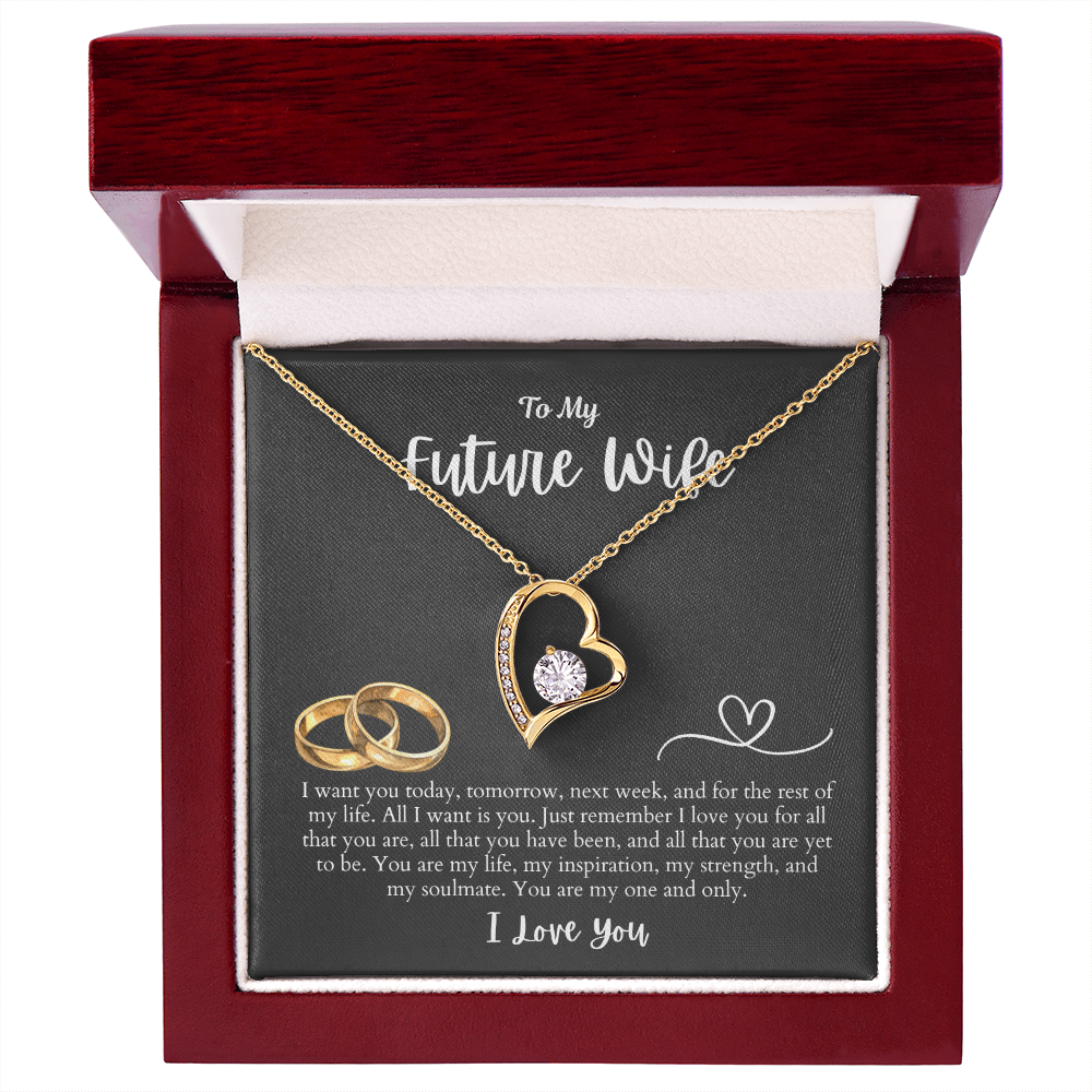To My Future Wife All I want is You | Forever Love Necklace