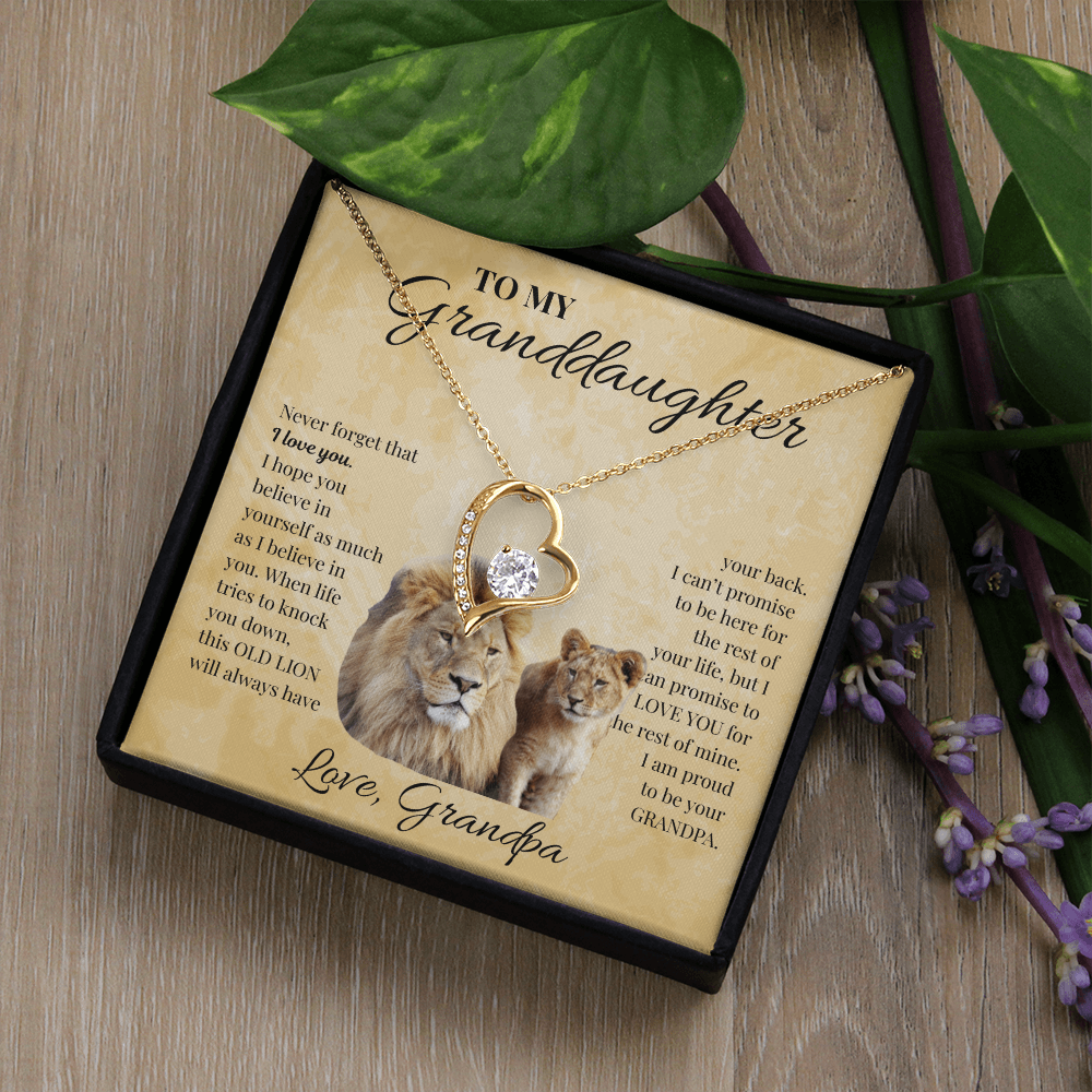 To My Granddaughter Love Grandpa | Forever Love Necklace