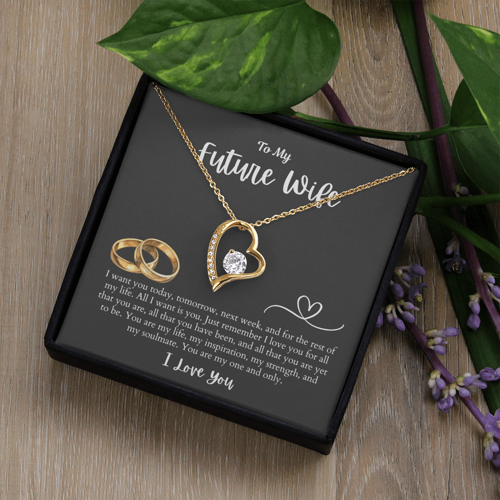 To My Future Wife All I want is You | Forever Love Necklace
