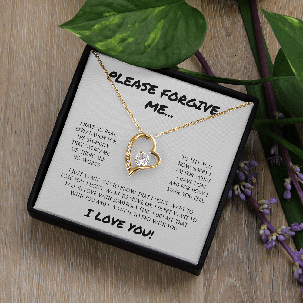 Please Forgive Me | Forever Love Necklace
