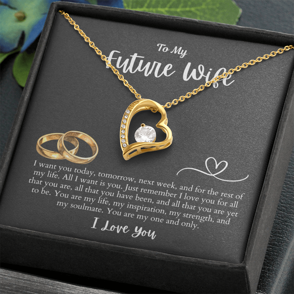 To My Future Wife All I want is You | Forever Love Necklace