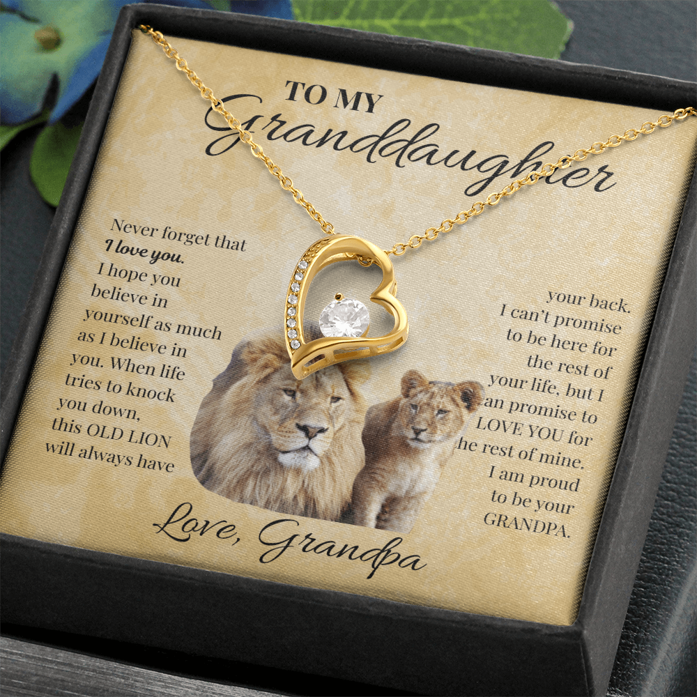 To My Granddaughter Love Grandpa | Forever Love Necklace