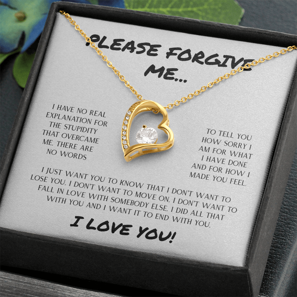 Please Forgive Me | Forever Love Necklace